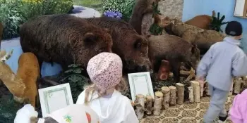 Экскурсия в Центр экологии и туризма г. Борисова