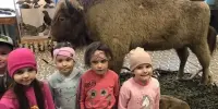 Экскурсия в Центр экологии и туризма г. Борисова