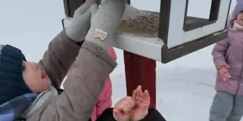 Акция "Поддержим птиц зимой"